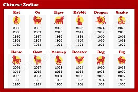 二十生肖|Chinese Zodiac: 2025 Year of Snake, 12 Animal Signs, Calculator